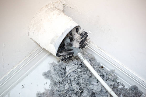 Air Duct Mold Removal in Kapolei, HI